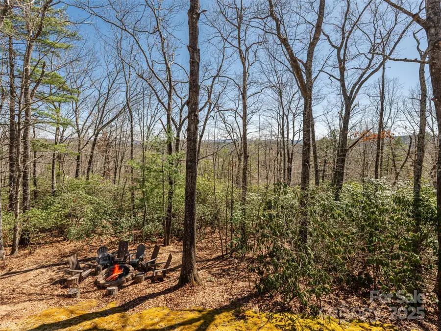 75 Deep Woods Road, Mills River, NC 28759 - Image #2