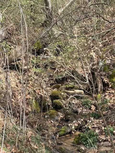 25 Green Meadow Lane #25, Mars Hill, NC 28754 - Image #1