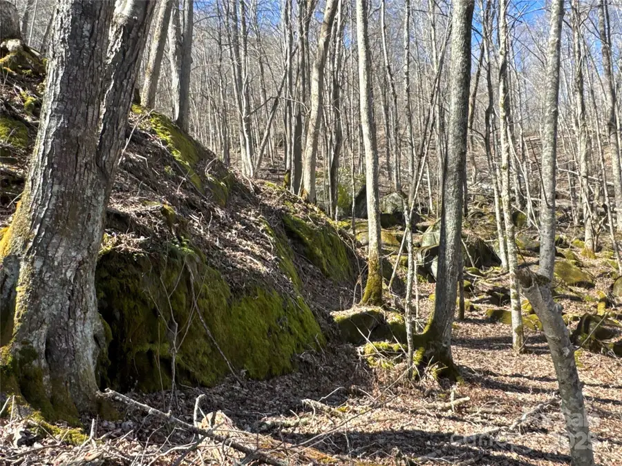 00 Beech Thicket Springs Road #40, Bakersville, NC 28705 - Image #3