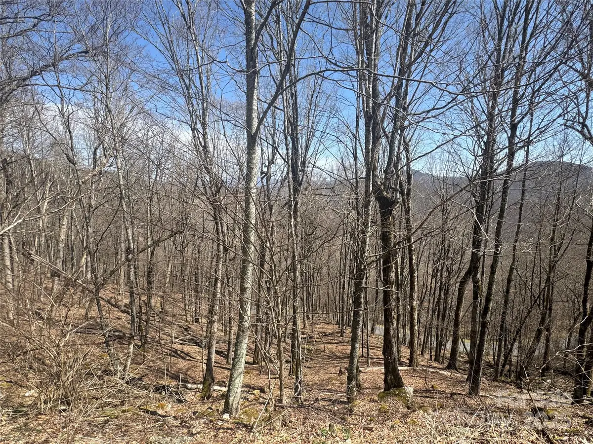 14 & 16 Overlook Drive, Mars Hill, NC 28754 - Image #1