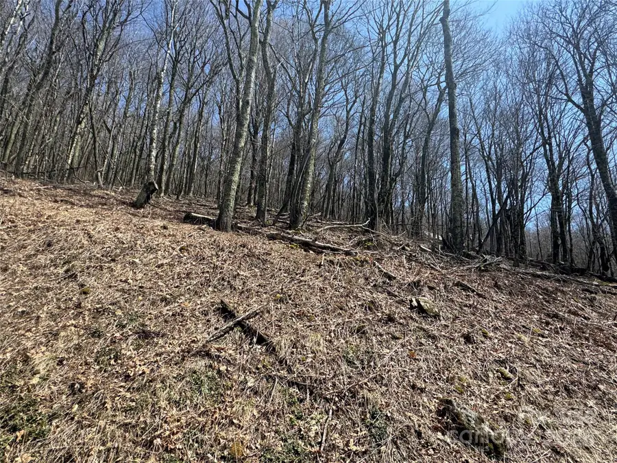 244 & 245 Grouse Thicket Lane, Mars Hill, NC 28754 - Image #2