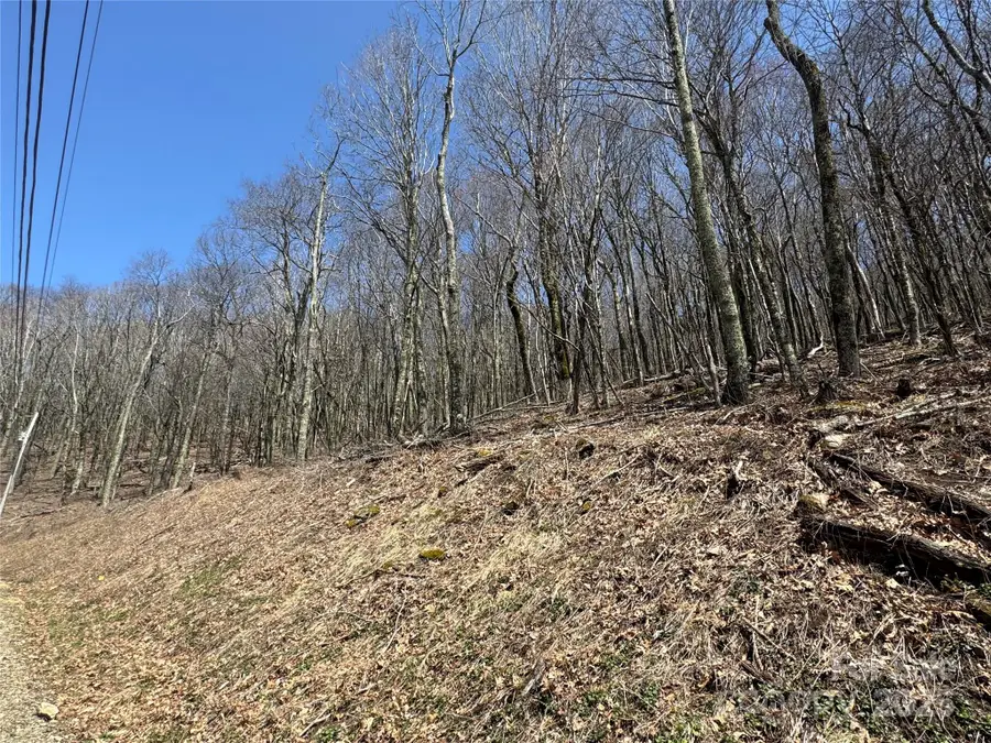 244 & 245 Grouse Thicket Lane, Mars Hill, NC 28754 - Image #3