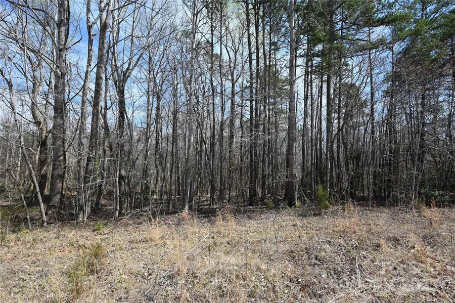 00 E Bells Branch Road #1, Blacksburg, SC 29702 - Image #3