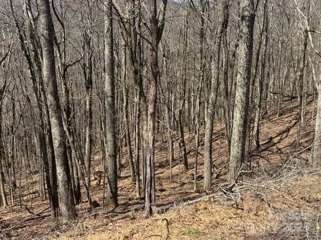 261 Grouse Thicket Lane, Mars Hill, NC 28754 - Image #1