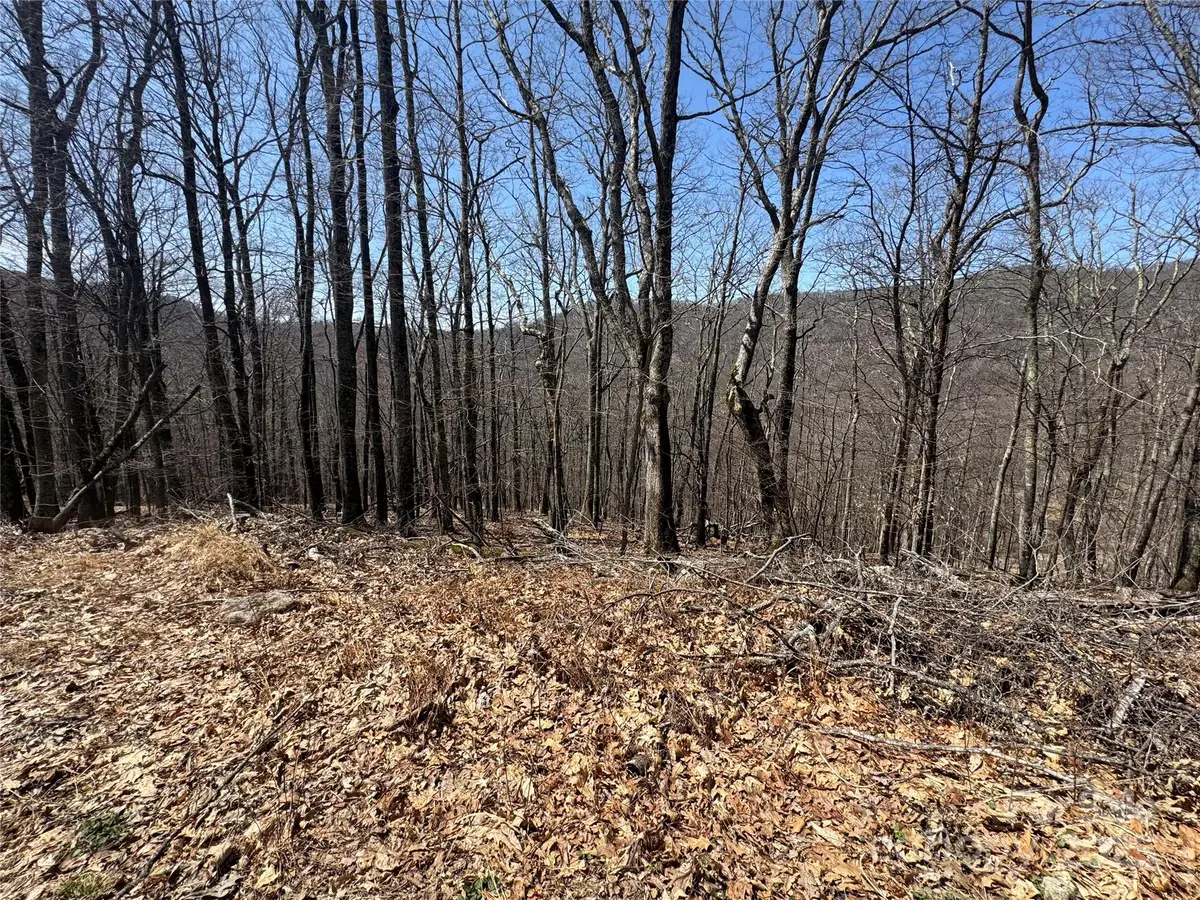 334-335-336 Hamlin Lane, Mars Hill, NC 28754 - Image #1