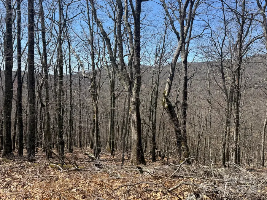 334-335-336 Hamlin Lane, Mars Hill, NC 28754 - Image #3