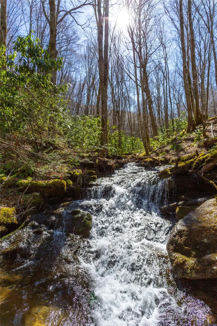 Lot 48c Bearwallow Ridge Trail #48c, Qualla, NC 28719 - Image #2