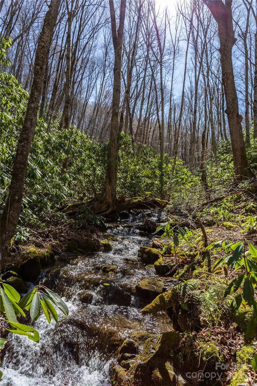 Lot 50 Bearwallow Ridge Trail #50, Qualla, NC 28719 - Image #3