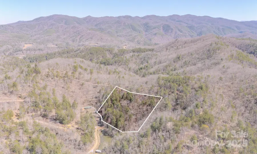 TBD Plum Tree Holler Drive, Hot Springs, NC 28743 - Image #2