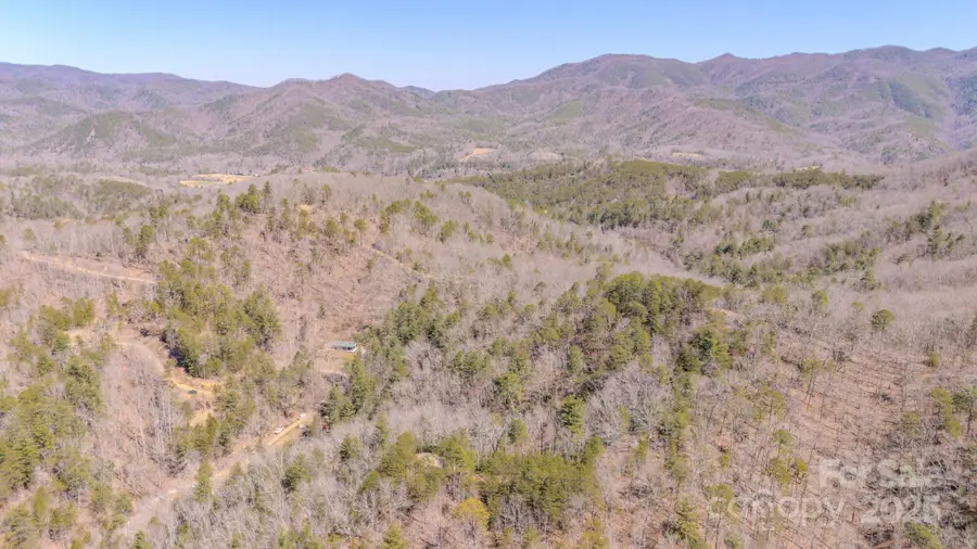 TBD Plum Tree Holler Drive, Hot Springs, NC 28743 - Image #3