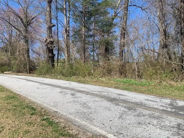 LOTS 1&2 Country Club Road #1&2, Hendersonville, NC 28739 - Image #1