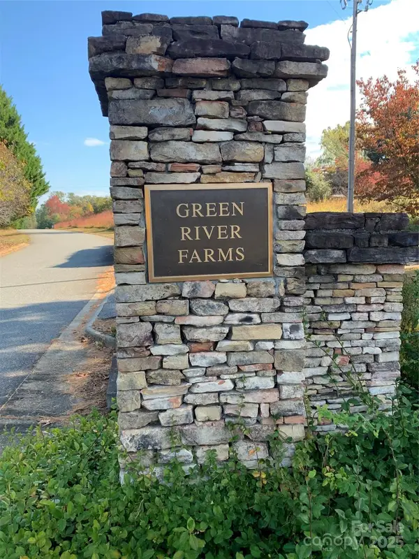 0 Rachel Bell Road E #Lot 24, Mill Spring, NC 28756