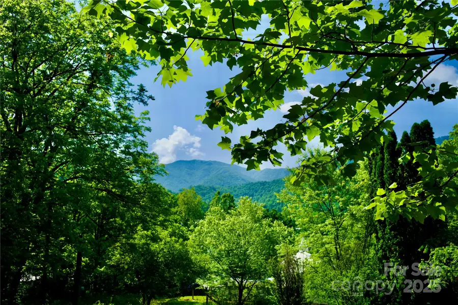 38 Buchanan Hill Road, Bakersville, NC 28705 - #2