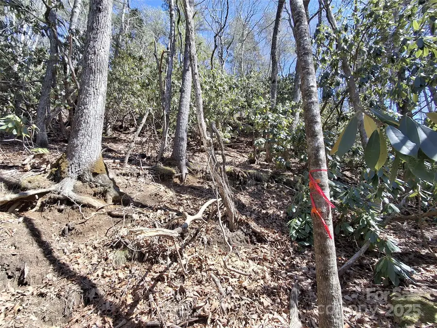 0 Vess Owen Road, Tuckasegee, NC 28783 - Image #2