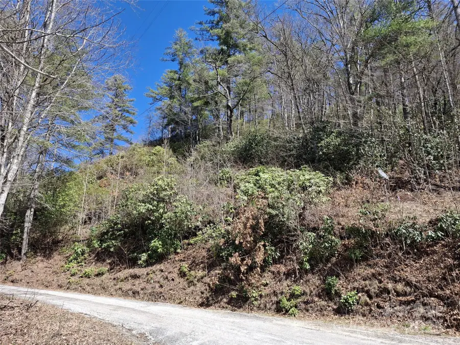 0 Vess Owen Road, Tuckasegee, NC 28783 - Image #3