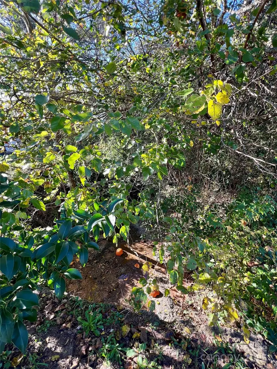 368 Chestnut Street, Rock Hill, SC 29730 - Image #2