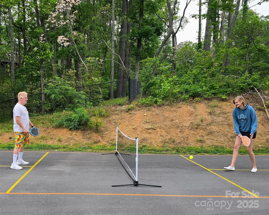 209 Fall Leaves Drive, Fairview, NC 28730 - Image #3