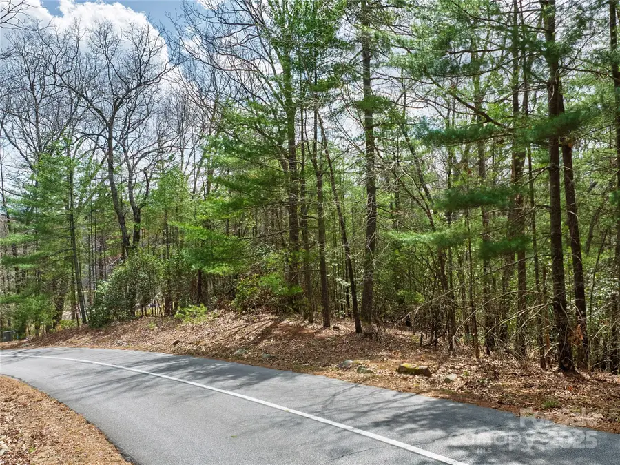 Lot 71 South Ridge Drive, Hendersonville, NC 28739 - Image #3