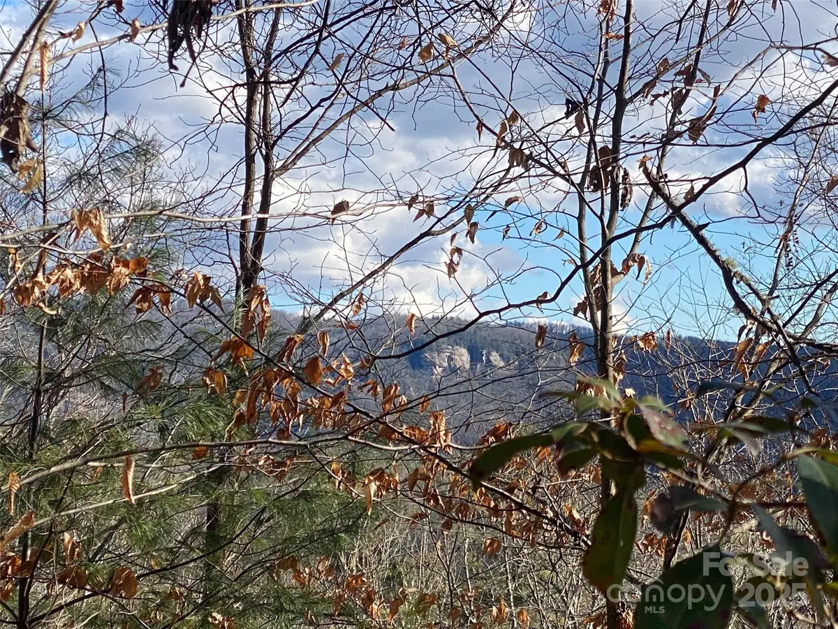 999 High Point Trail, Brevard, NC 28712 - Image #1