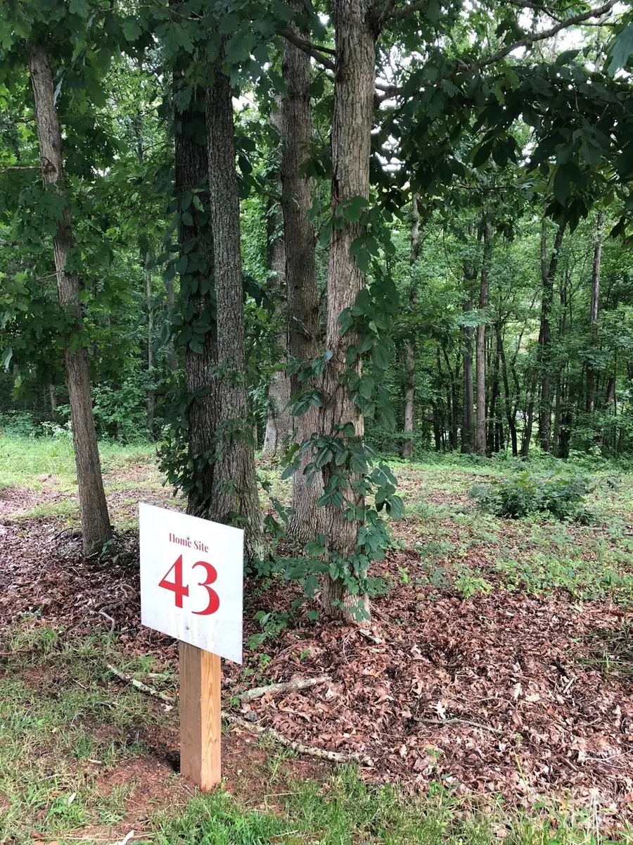 45 Sweet Fern Parkway #43, Asheville, NC 28804 - Image #3