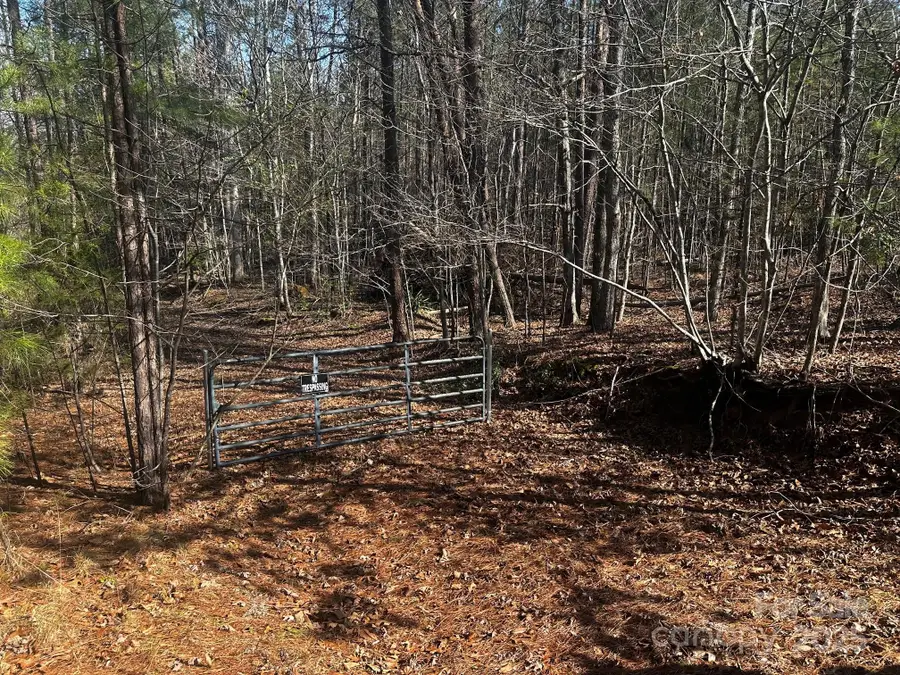 0000 Grassy Knob Road, Lake Lure, NC 28746 - Image #2