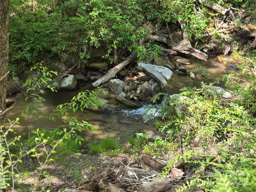 Lot 64 &  65 Walnut Lane, Lake Lure, NC 28746 - Image #2