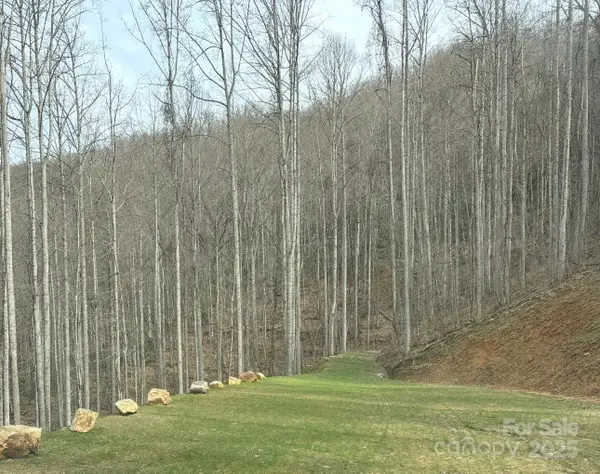 269 Flowering Ridge Road, Whittier, NC 28789