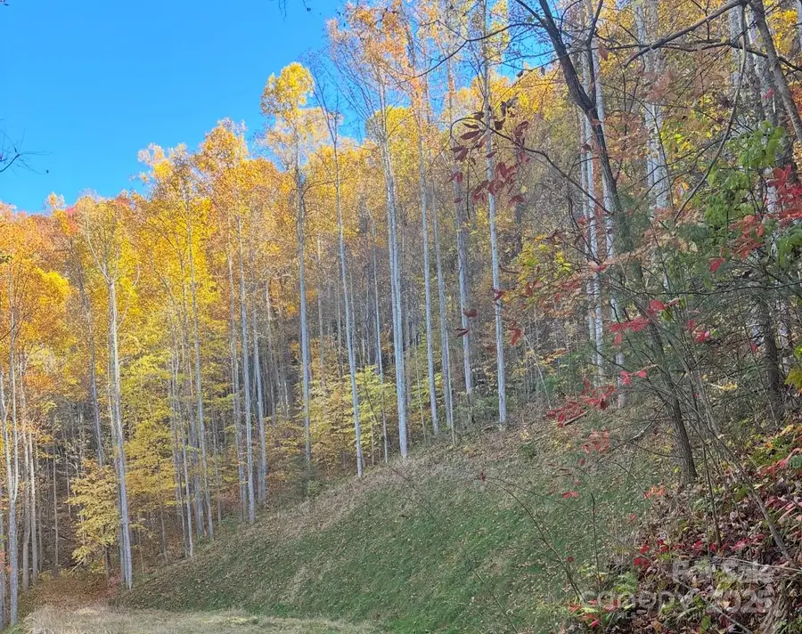 269 Flowering Ridge Road, Whittier, NC 28789 - Image #3