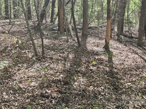 Lot 172 West Lake Drive N, Lake Lure, NC 28746