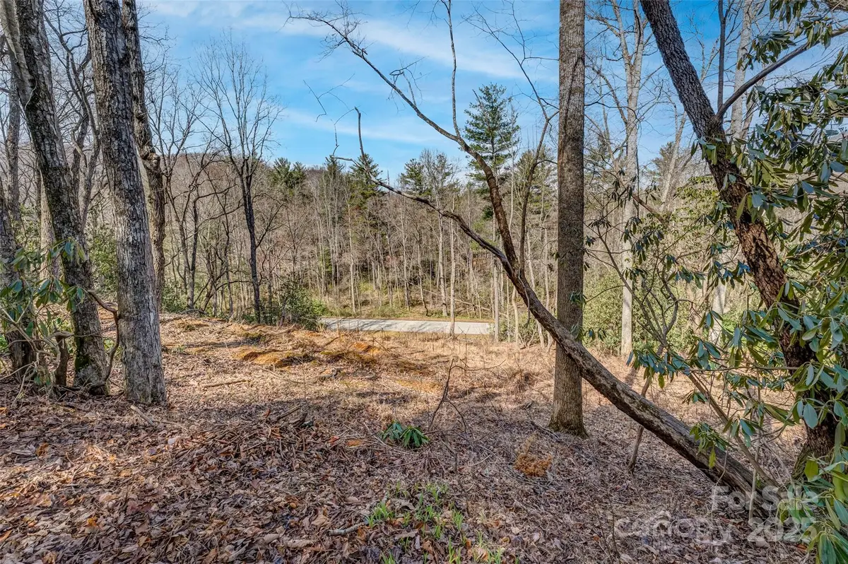 99999 Christa Lane #3, Arden, NC 28742 - Image #1