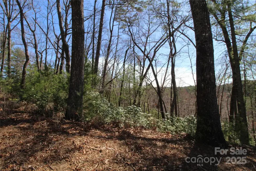 V/L Heartwood Forest Drive #27, Collettsville, NC 28611 - Image #2