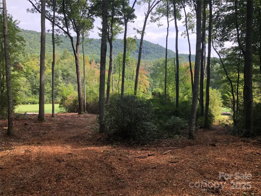 1304 Fawn Meadow Way, Arden, NC 28704 - Image #3