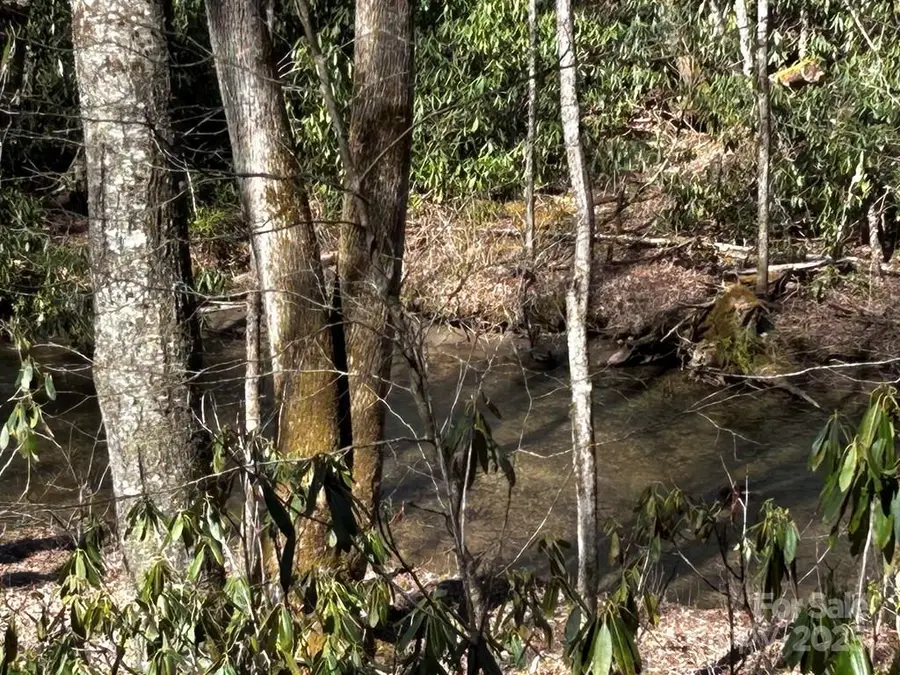 0 Little Snowbird Road, Robbinsville, NC 28771 - Image #2