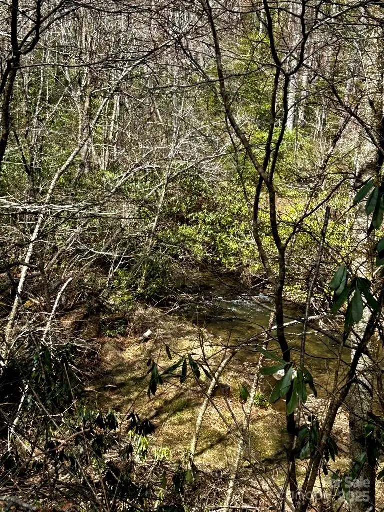 0 Little Snowbird Road, Robbinsville, NC 28771 - Image #3