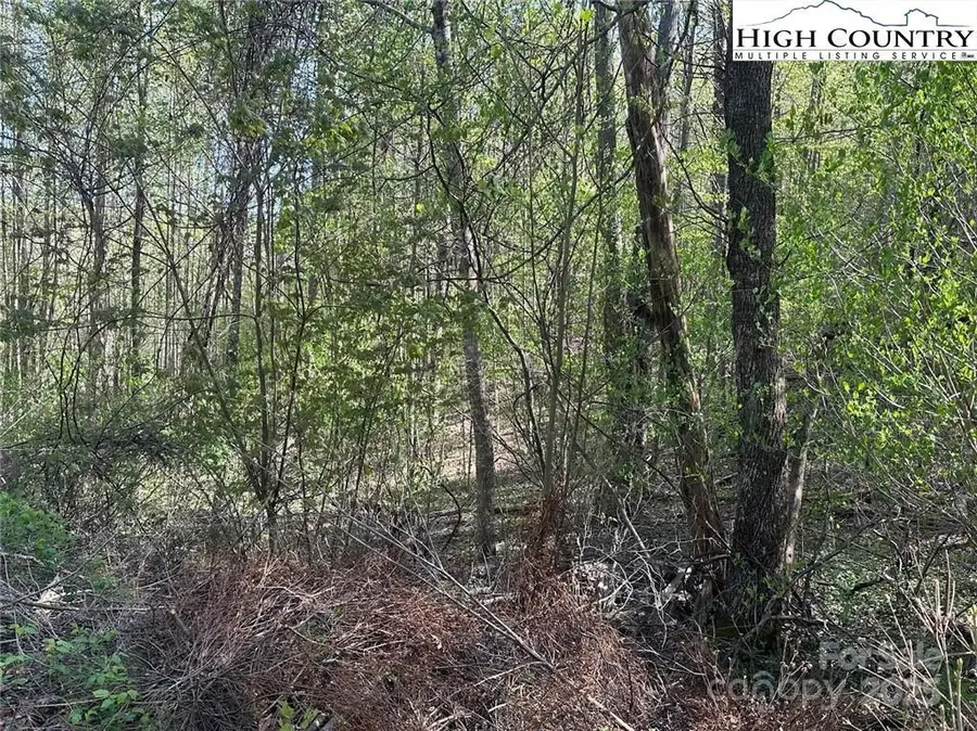 TBD Quail Hollow Drive #27, Jefferson, NC 28640 - Image #3