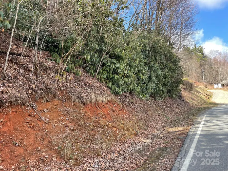 0 Gingercake Road, Newland, NC 28657 - Image #2