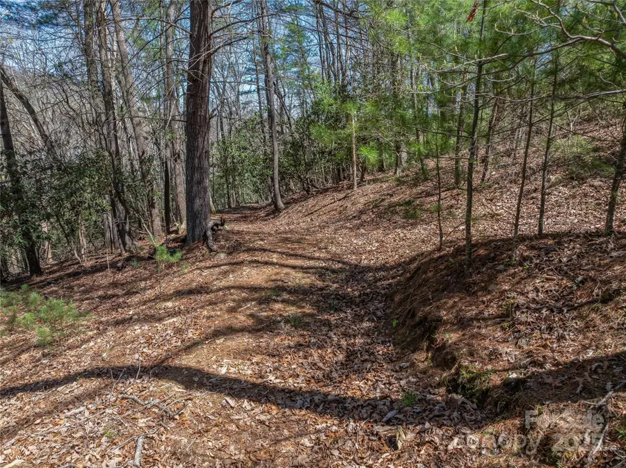 37 Dividing Ridge Trail #12, Arden, NC 28704 - Image #3