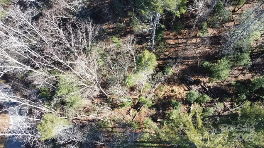 444 Dockside Drive #17A, Nebo, NC 28761 - Image #2