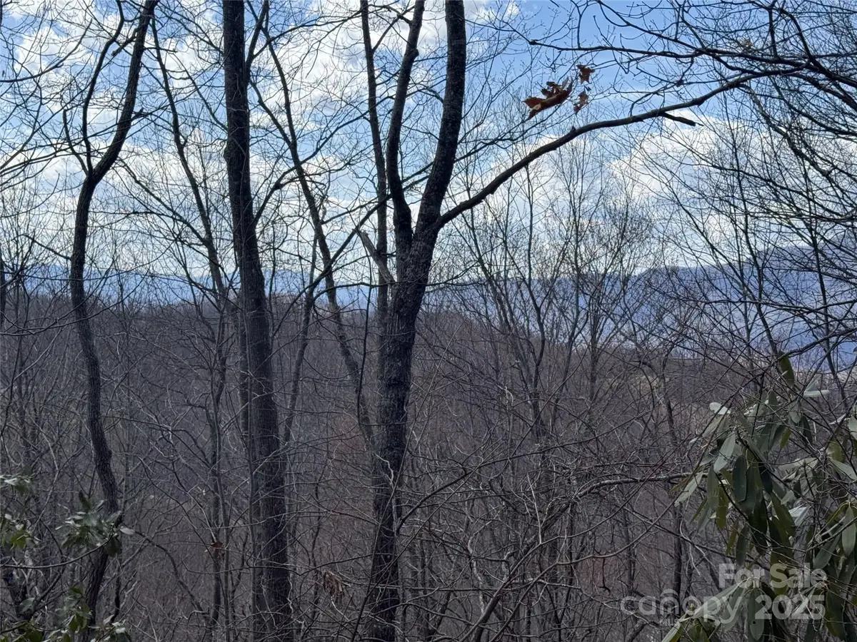 81 Boarding House Way #92, Sylva, NC 28779 - Image #1