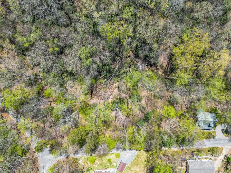 999 Grand Canyon Drive, Hendersonville, NC 28792 - Image #2