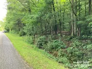 99999 Moffitt Branch Road, Asheville, NC 28805 - Image #3