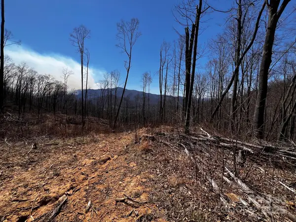 0 Rocky Face Drive #RF-2, Canton, NC 28716