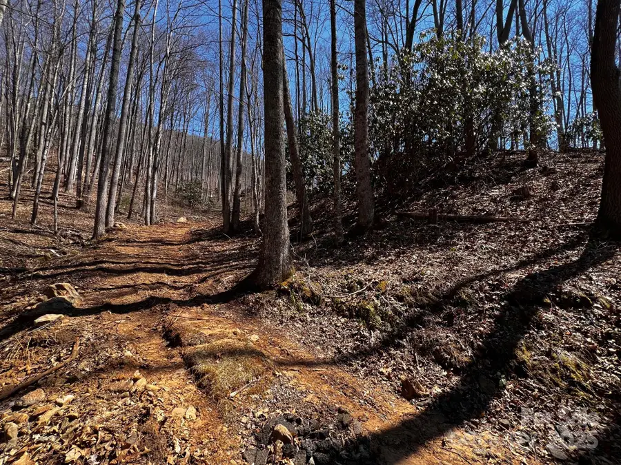 0 Rocky Face Drive #RF-2, Canton, NC 28716 - Image #2