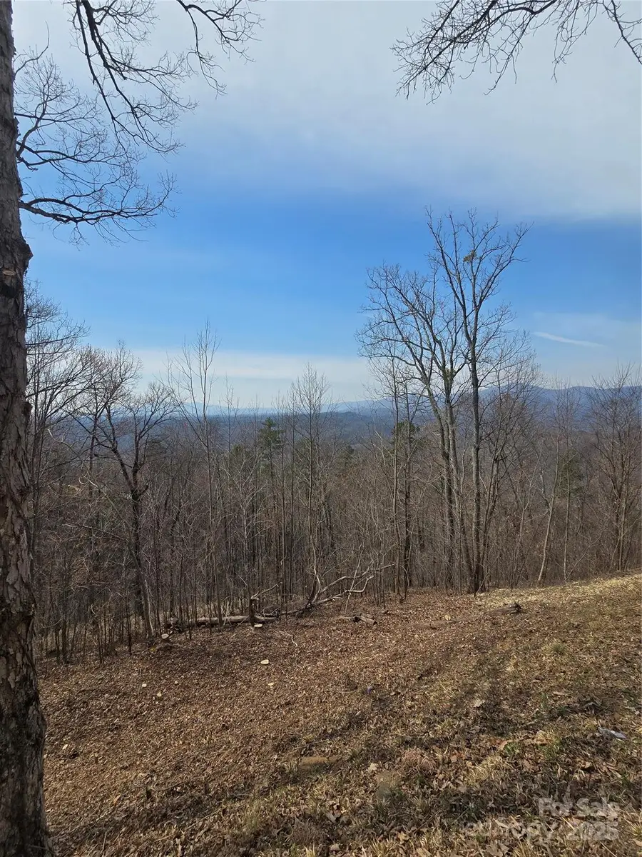 00 Golden Ridge Drive #209, Lake Lure, NC 28746 - Image #3