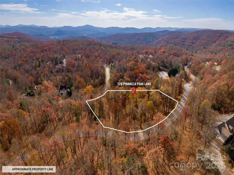 128 Pinnacle Peak Lane, Flat Rock, NC 28731 - Image #3