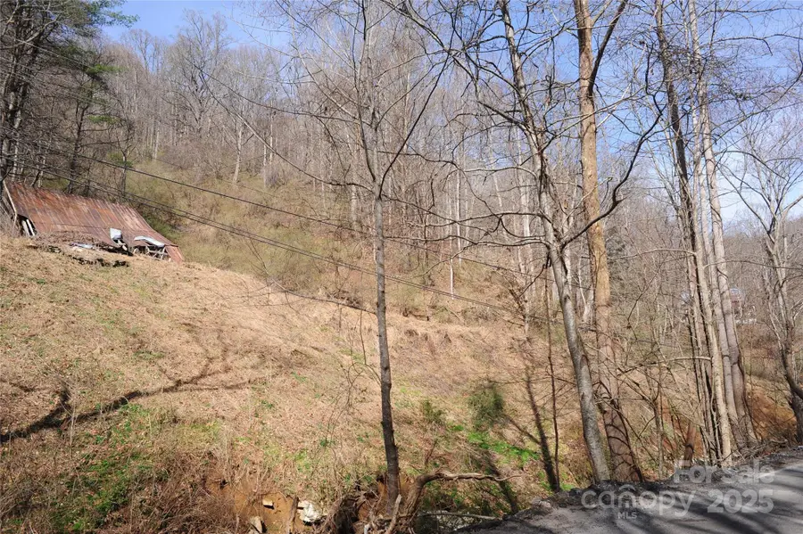 00 Coxes Creek Road, Burnsville, NC 28714 - Image #3