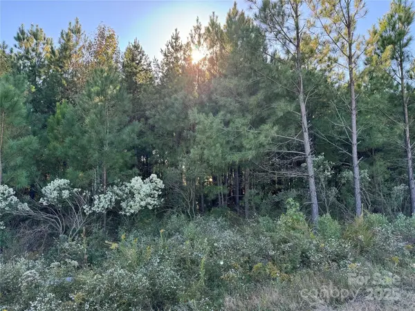 00 Ne Connector Bypass, Albemarle, NC 28001