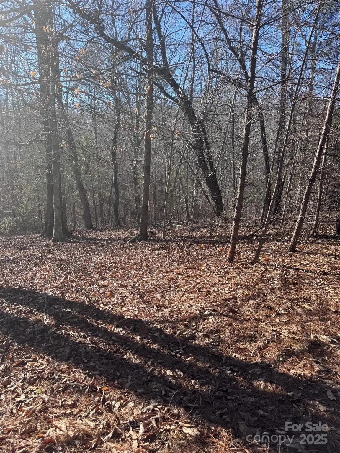 0 Clearwater Parkway #358, Rutherfordton, NC 28139 - Image #1