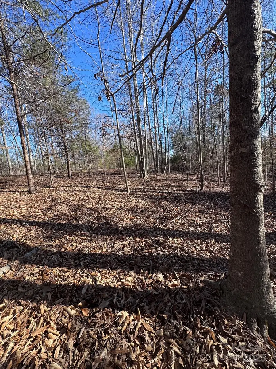 0 Clearwater Parkway #358, Rutherfordton, NC 28139 - Image #2