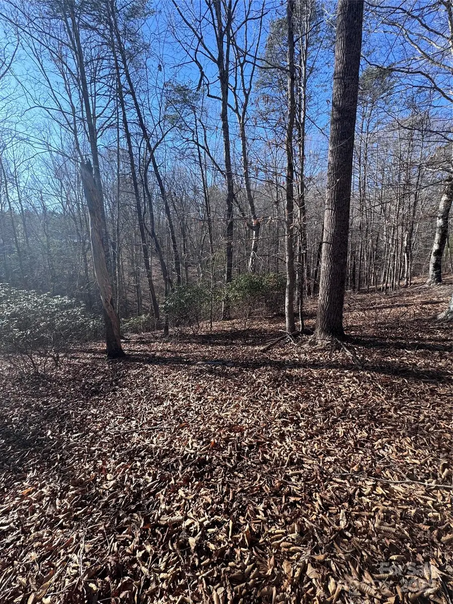 0 Clearwater Parkway #358, Rutherfordton, NC 28139 - Image #3